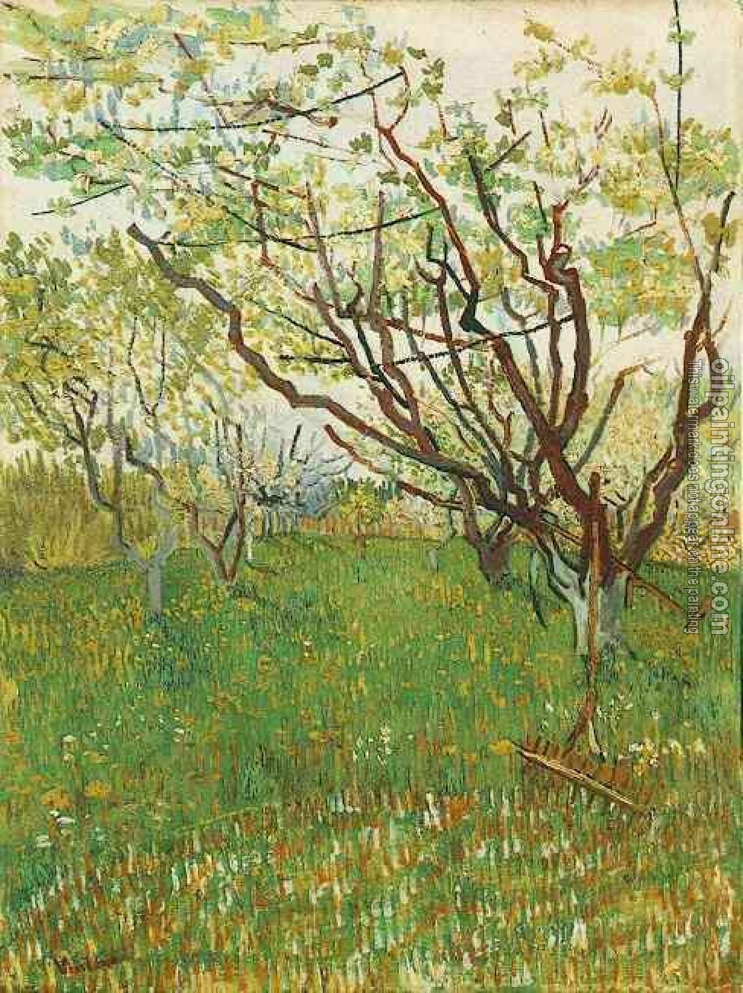 Gogh, Vincent van - Orchard in Blossom